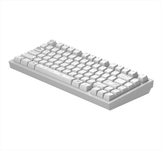 KEYBOARD MECHANICAL DARK PROJECT ALU81A TERRA NOVA WHITE HS RGB linear mechanical switches G3ms Moonstone- Pre-lubed, wireless (BT/2,4g),+4 switch ANSI layout