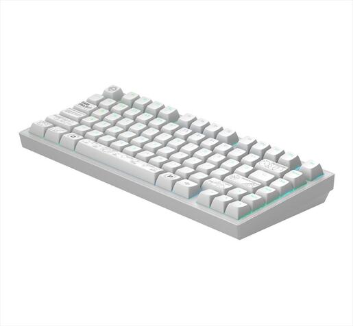 KEYBOARD MECHANICAL DARK PROJECT ALU81A TERRA NOVA WHITE HS RGB linear mechanical switches G3ms Moonstone- Pre-lubed, wireless (BT/2,4g),+4 switch ANSI layout