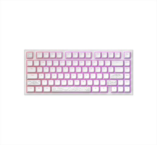 KEYBOARD MECHANICAL DARK PROJECT ALU81A TERRA NOSTRA WHITE HS RGB linear mechanical switches G3ms Moonstone- Pre-lubed, +4 switch, COILED CABLE ANSI layout