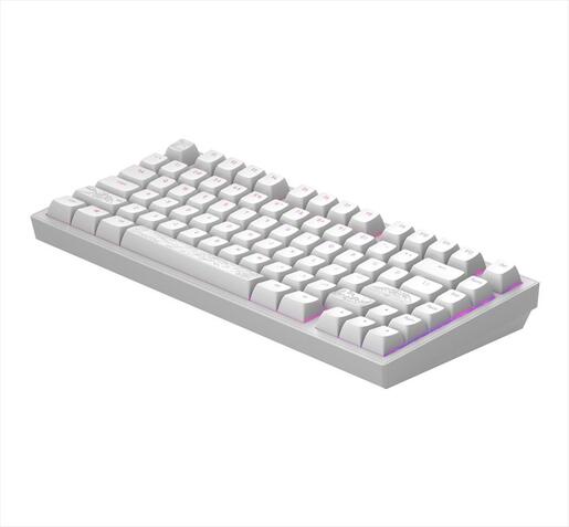 KEYBOARD MECHANICAL DARK PROJECT ALU81A TERRA NOSTRA WHITE HS RGB linear mechanical switches G3ms Moonstone- Pre-lubed, +4 switch, COILED CABLE ANSI layout