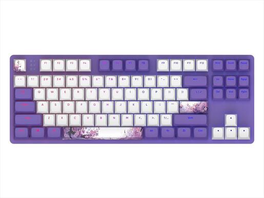 KEYBOARD MECHANICAL DARK PROJECT 87 VIOLET HORIZONS TKL RGB linear G3ms Sapphire switch ANSI layout