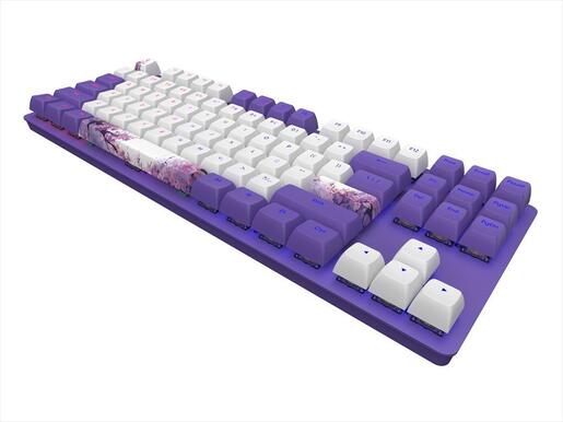 KEYBOARD MECHANICAL DARK PROJECT 87 VIOLET HORIZONS TKL RGB linear G3ms Sapphire switch ANSI layout