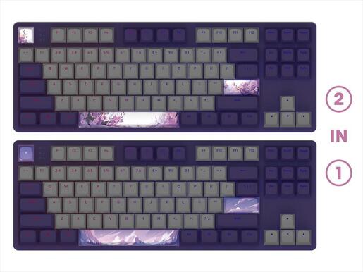KEYBOARD MECHANICAL DARK PROJECT 87 VIOLET HORIZONS TKL RGB linear G3ms Sapphire switch ANSI layout