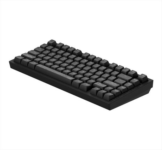 KEYBOARD MECHANICAL DARK PROJECT ALU81A TERRA NOSTRA BLACK HS RGB linear mechanical switches G3ms Moonstone- Pre-lubed, +4 switch, COILED CABLE ANSI layout