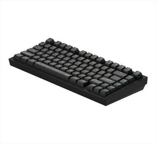 KEYBOARD MECHANICAL DARK PROJECT ALU81A TERRA NOSTRA BLACK HS RGB linear mechanical switches G3ms Moonstone- Pre-lubed, +4 switch, COILED CABLE ANSI layout