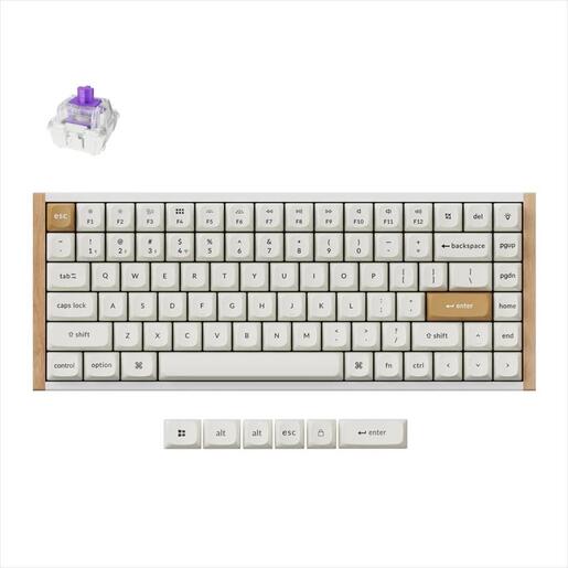 KEYBOARD WIRELESS MECHANICAL KEYCHRON K2 HE Special edition, HS, RGB LED 75% Gateron Double-Rail Magnetic Switch, OSA PBT, White, K2H-Q1