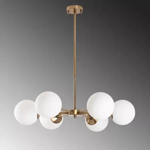 942FLG1164 Лустер Galileiana