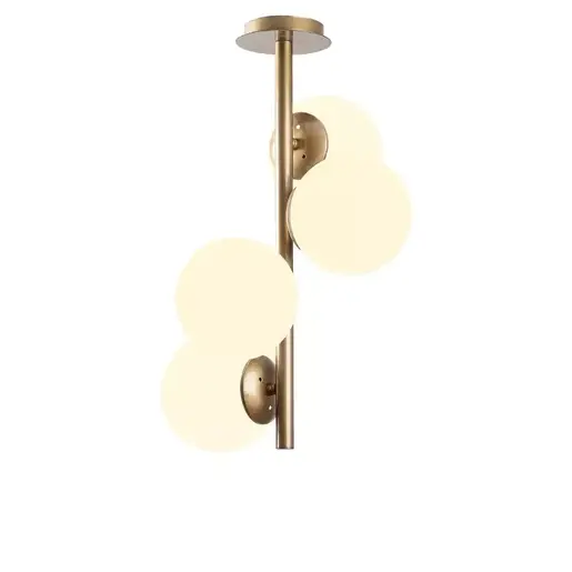 521SHN3427 Лустер Pavlova