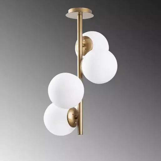 521SHN3427 Лустер Pavlova