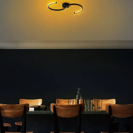 119FRS1529 Лустер Es - 13583