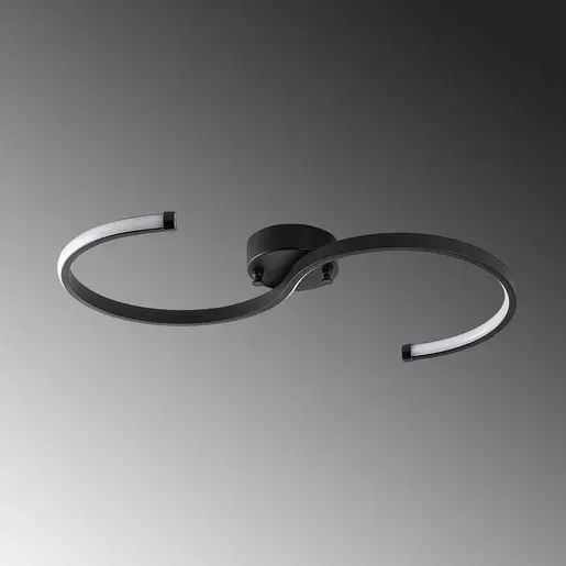 119FRS1529 Лустер Es - 13583