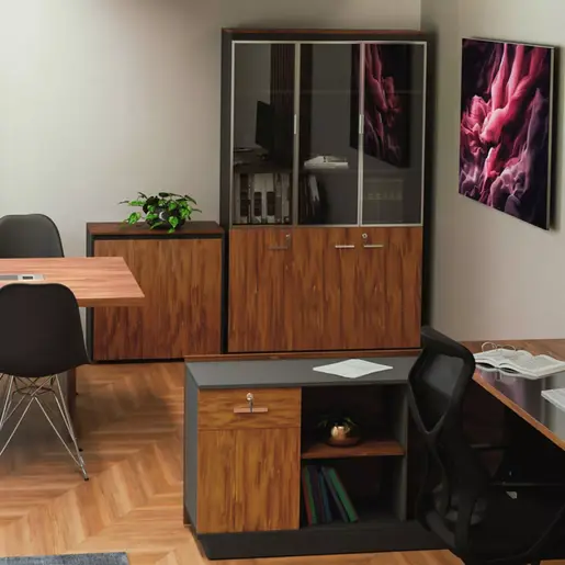 246-000010 Oscar полица со стаклени врати орев-антрацит