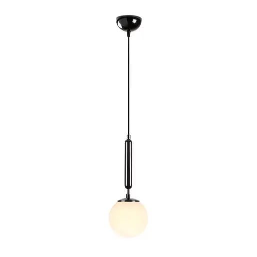 942FLG1308 Лустер Pasteur