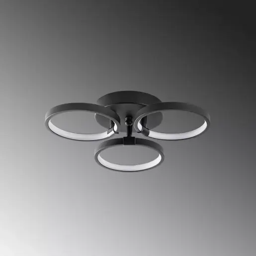 119FRS1537 Лустер Halka-13310