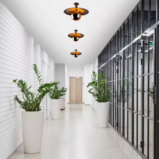 942FLG2522 Лустер Aelinor