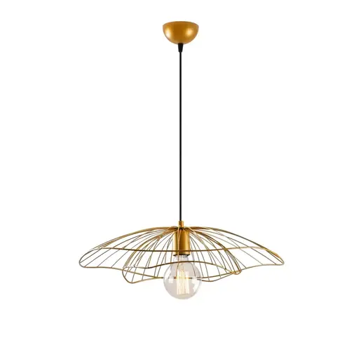 892OPV1842 Лустер REGALIS Gold