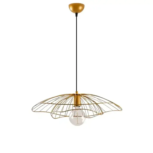 892OPV1842 Лустер REGALIS Gold