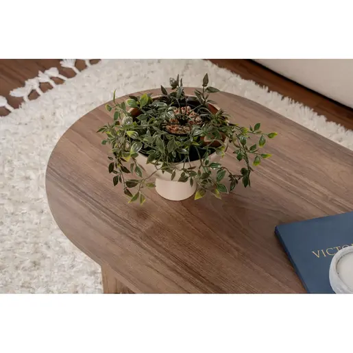 909NRD1109 Клуб маса Sable - Walnut