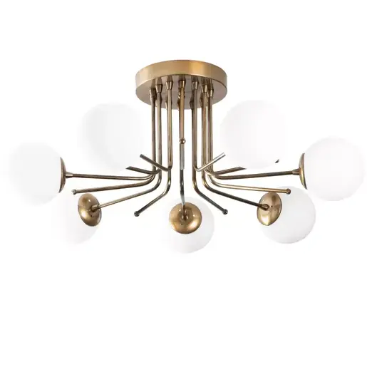 521SHN3373 Лустер Paracelsus