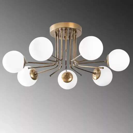 521SHN3373 Лустер Paracelsus