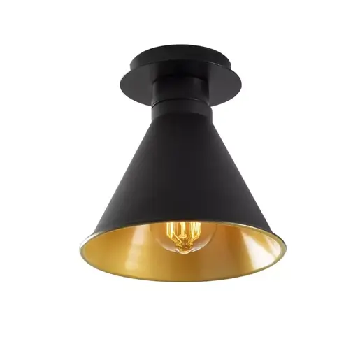 525NOR1307 Лустер DIANTHIA