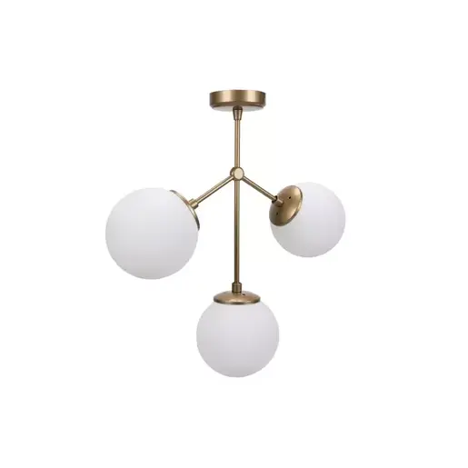 892OPV1645 Лустер Darwinova