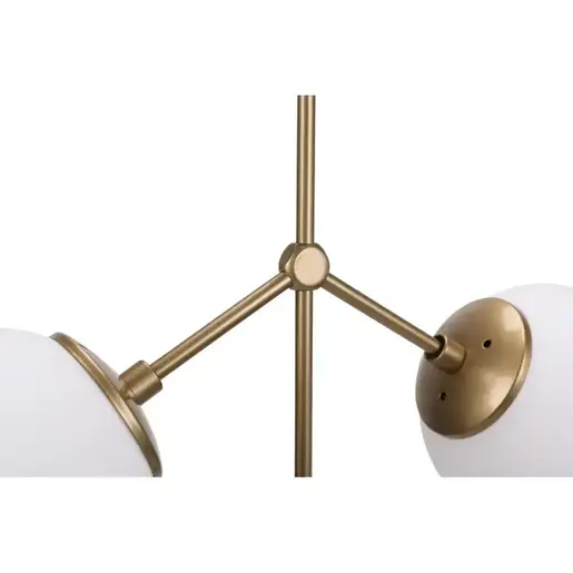 892OPV1645 Лустер Darwinova