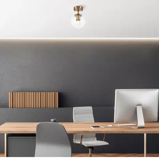 942FLG1131 Лустер EUPHRASIA