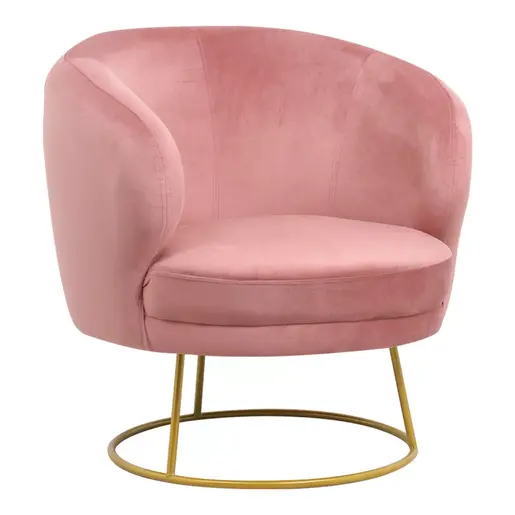 110-000055 Фотеља Рони Розева