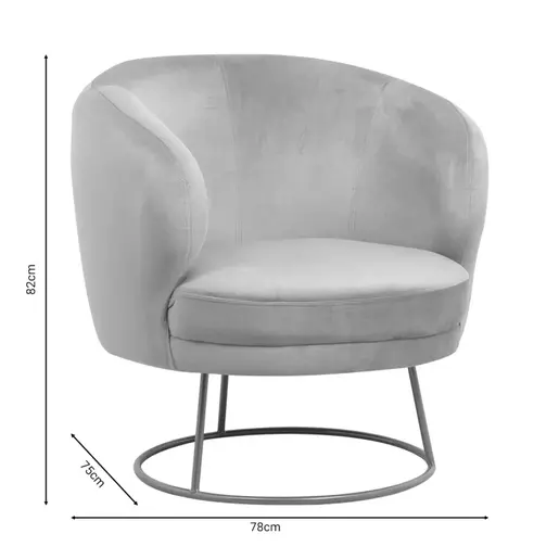 110-000055 Фотеља Рони Розева