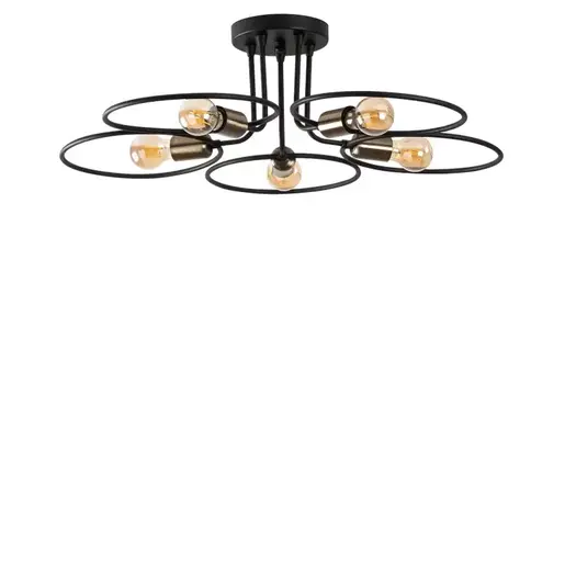 584TTM1295 Лустер Linnaeus