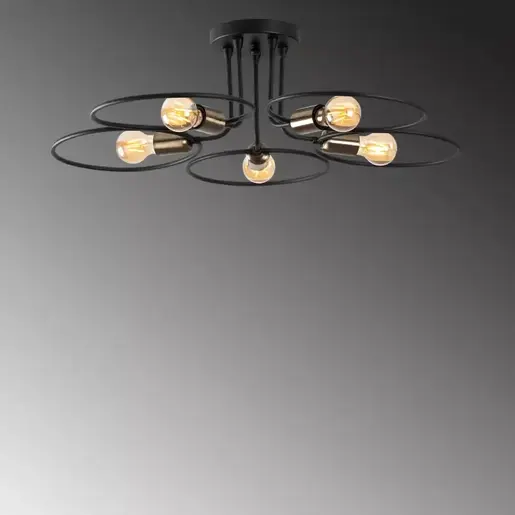 584TTM1295 Лустер Linnaeus