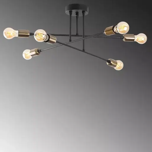 584TTM2104 Лустер Archimedius