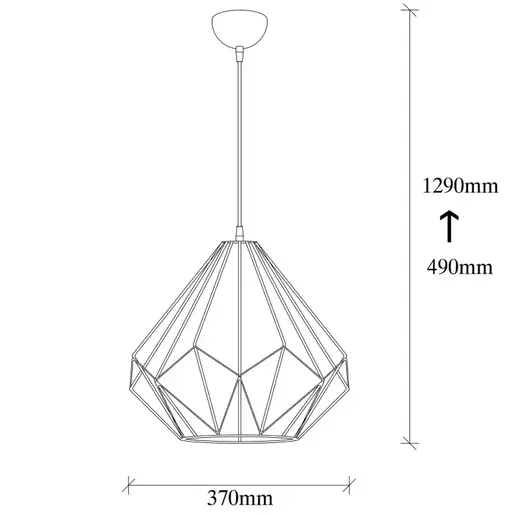 521SHN3391 Лустер SYLVARIS
