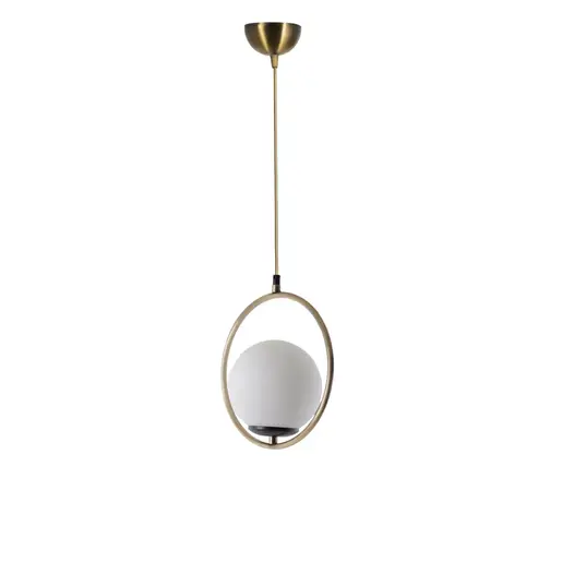 846STL2845 Лустер Aristotle