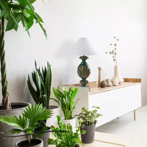 897TNL1115 Столна ламба ELEGANZE-5315