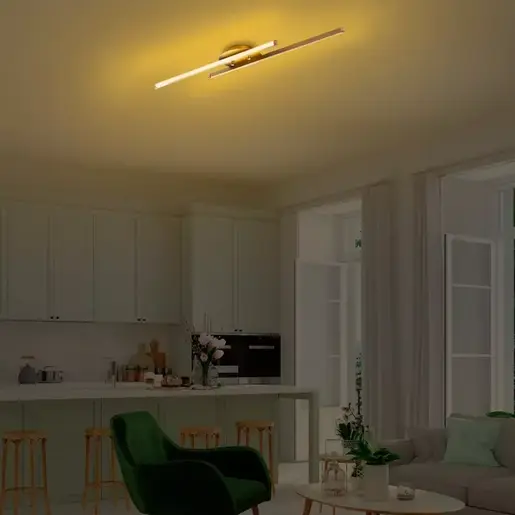 119FRS1504 Лустер Röntgén gold