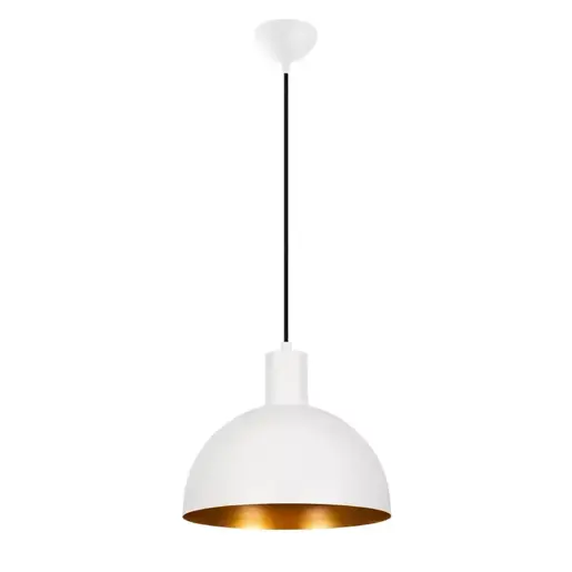 527ABY1729 Лустер CLARIONNA