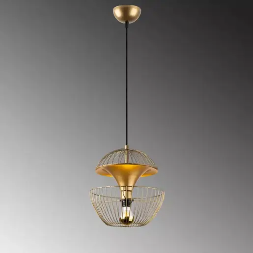 942FLG1253 Лустер Curie