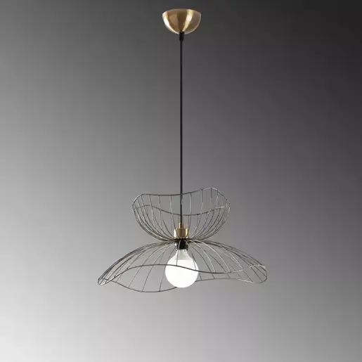 584TTM1467 Лустер CAELIONNA