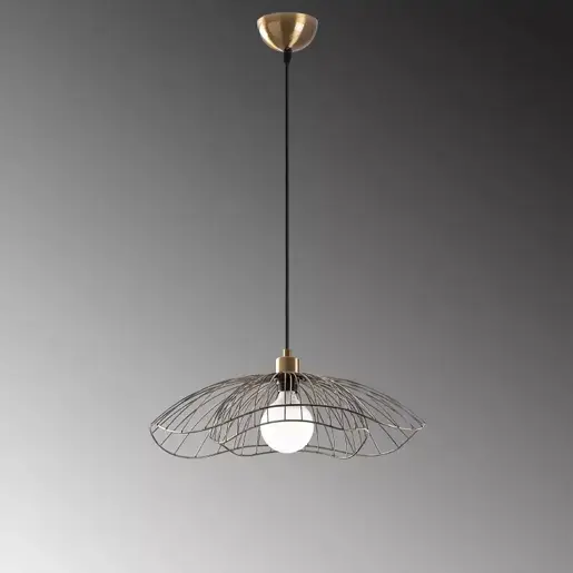 584TTM1467 Лустер CAELIONNA