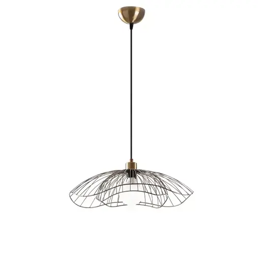 584TTM1467 Лустер CAELIONNA