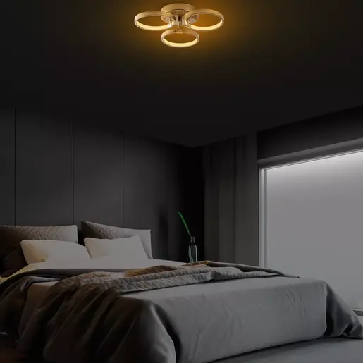 119FRS1538 Лустер Halka-13311