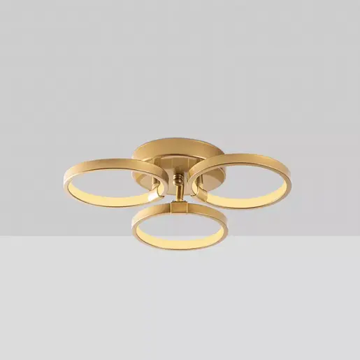 119FRS1538 Лустер Halka-13311