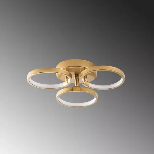 119FRS1538 Лустер Halka-13311