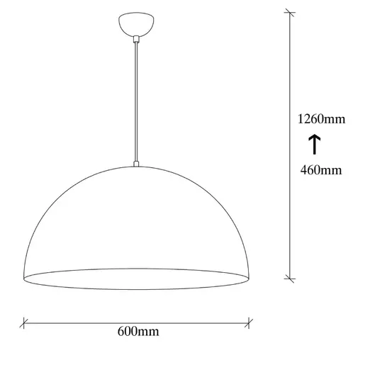 892OPV1788 Лустер Ptolemea