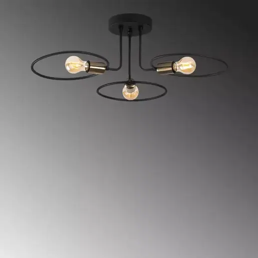 584TTM1294 Лустер Magnificus Black