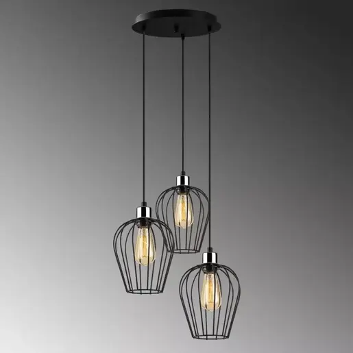 892OPV1718 Лустер Concordius Black