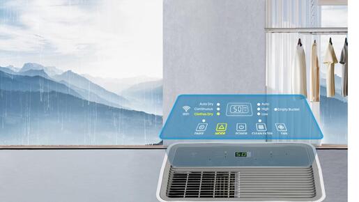 Hisense D16HW Одвлажнувач на воздух