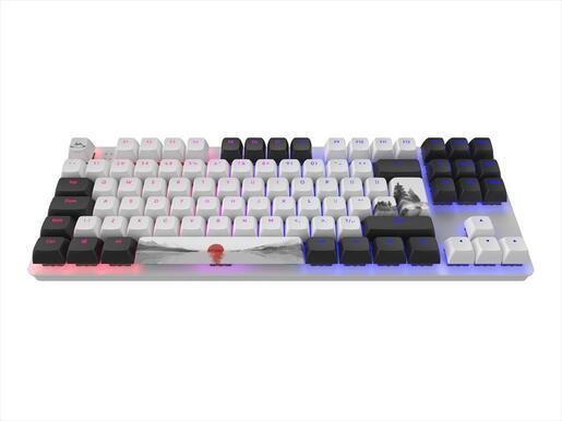 KEYBOARD MECHANICAL DARK PROJECT 87 FUJI TKL RGB linear G3ms Sapphire switch ANSI layout